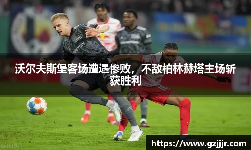 3377体育官网